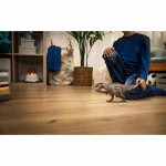 Figura Articulada Schleich Carcharodontosaurus