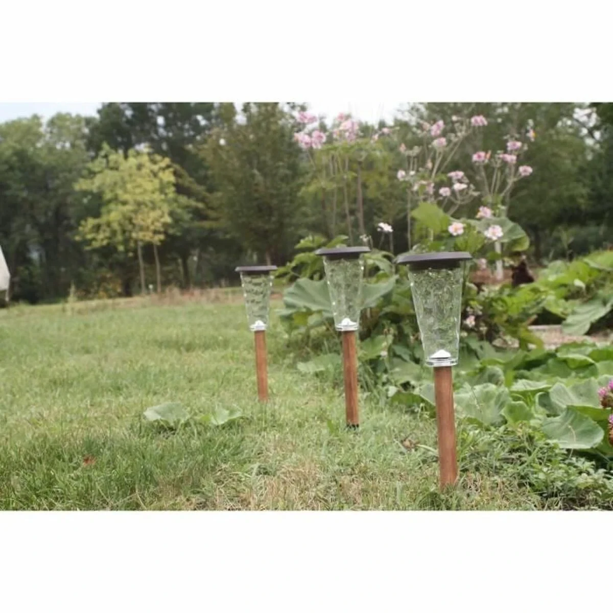 Lámpara solar Canopo Natural 20 Lm (3 Unidades)