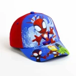 Gafas de Sol Infantiles Spidey 51 cm Gorra
