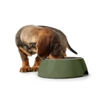 Comedero para Perro Hunter Verde 160 ml