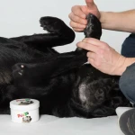 Cera de abejas Pawz MAXWAX 200 gr