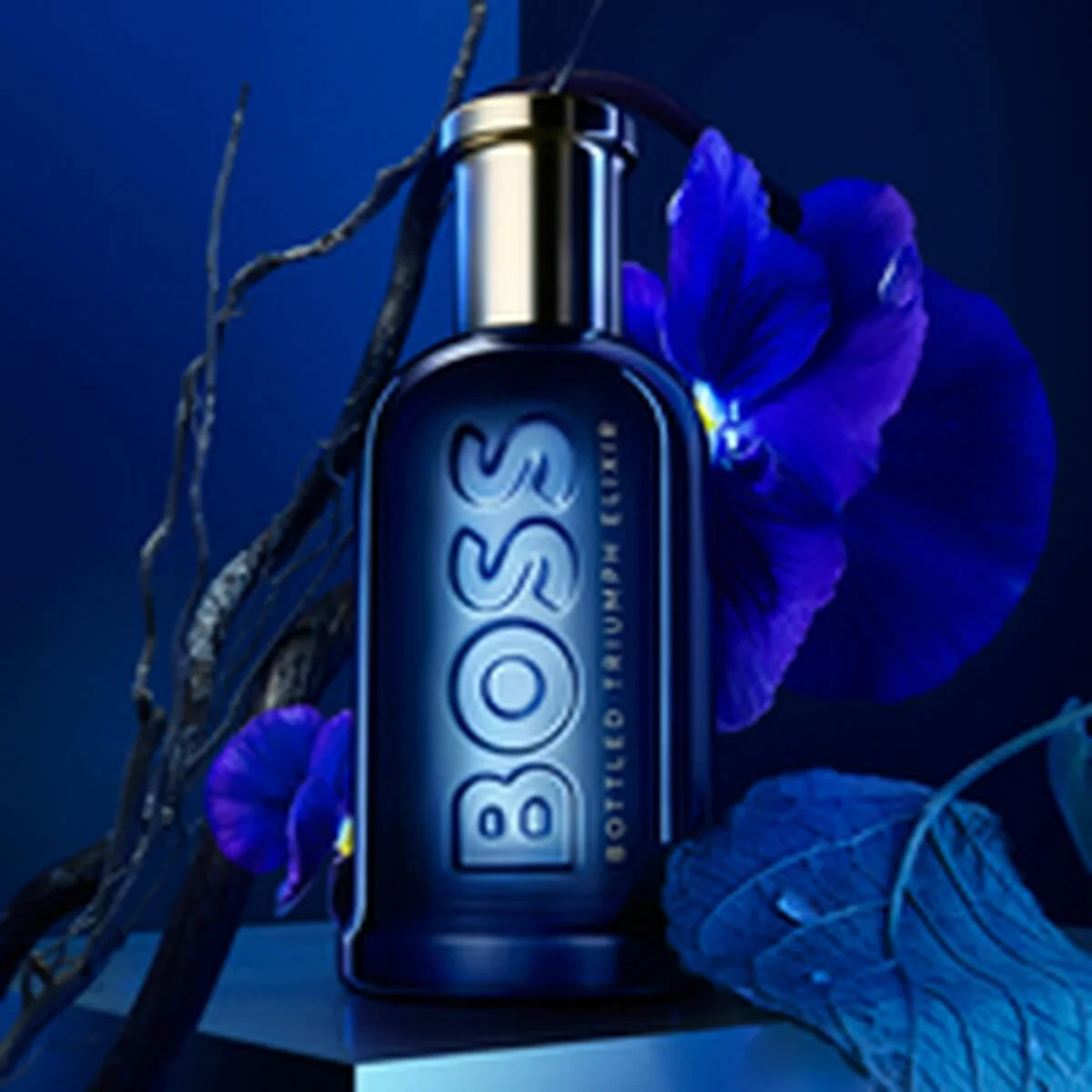 Perfume Hombre BOSS BOSS BOTTLED 50 ml