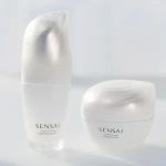 Desmaquillante Facial Sensai EXPERT ITEMS 40 ml