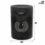Altavoz con Micrófono Karaoke Bontempi 6 Unidades
