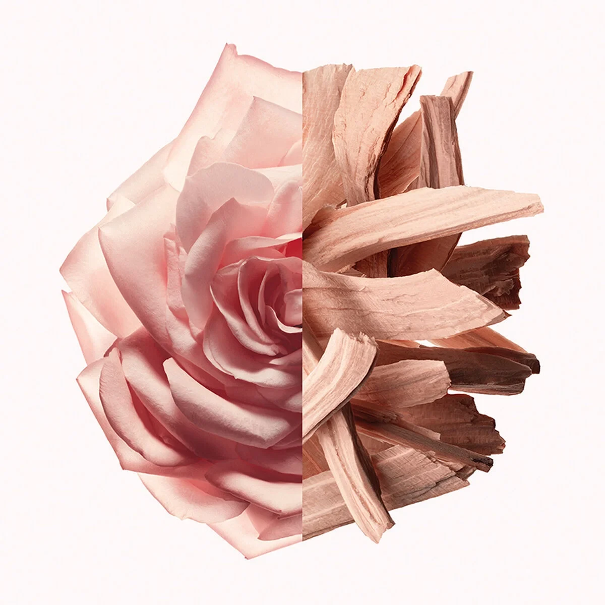 Perfume Mujer Givenchy IRRESISTIBLE NUDE VELVET EDP 50 ml