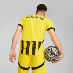 Camiseta de Fútbol de Manga Corta Hombre Puma Borussia Dortmund copa 24/25