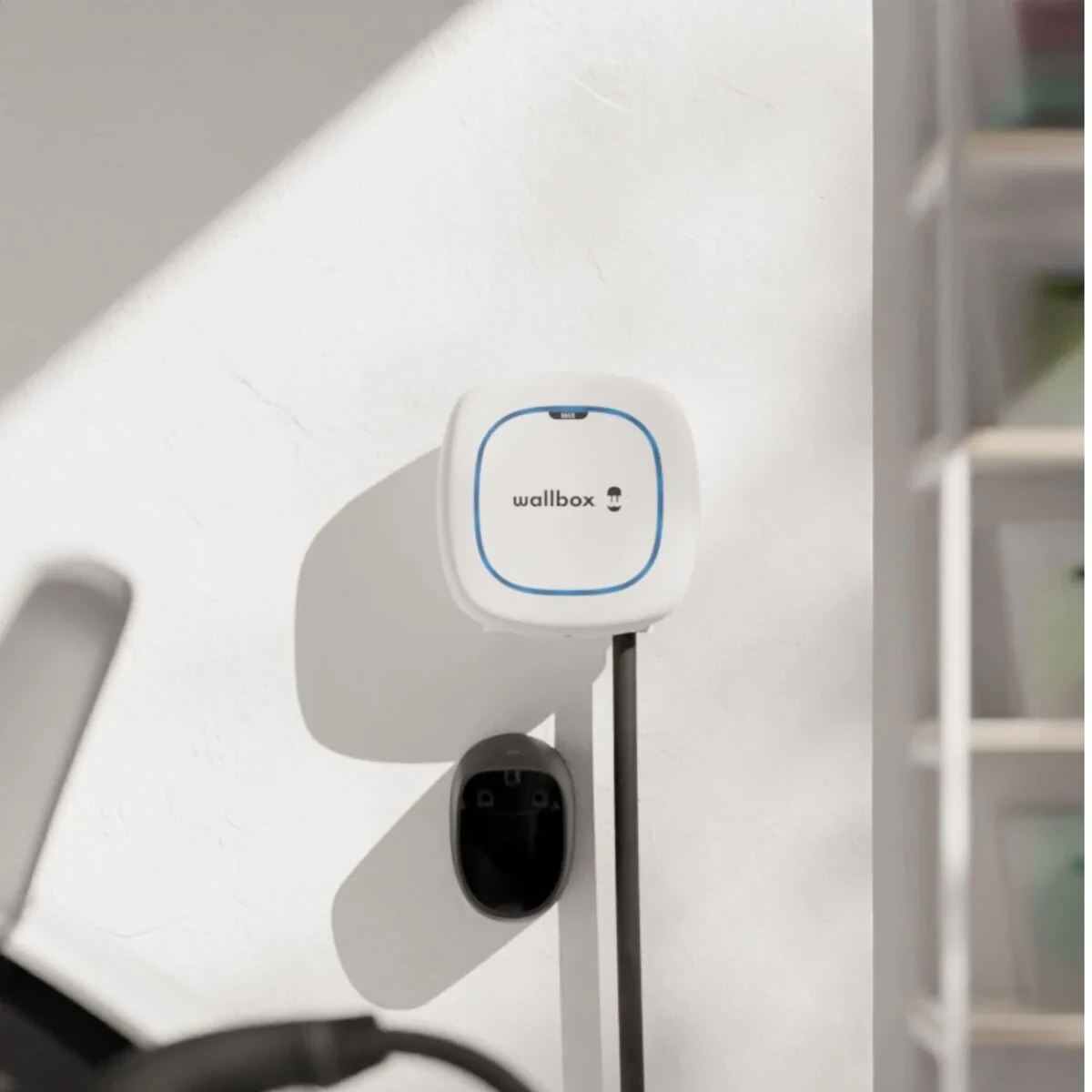 Enchufe de Alimentación Wallbox