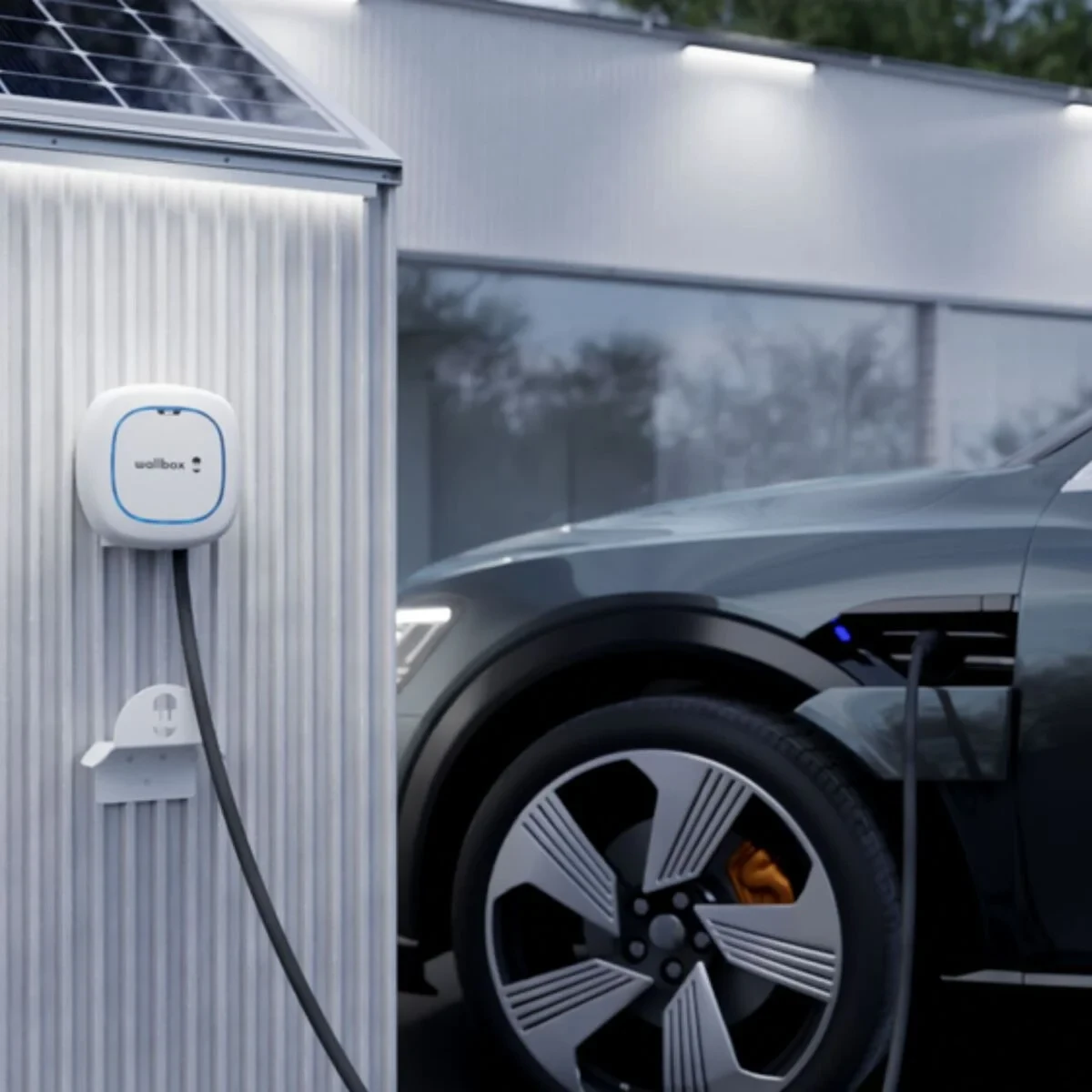 Enchufe de Alimentación Wallbox