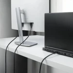 Cable VGA Startech DP14MDPMM10F Negro 3 m