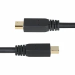 Cable VGA Startech DP14MDPMM10F Negro 3 m