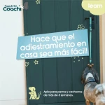 Arnés para Perro Coachi