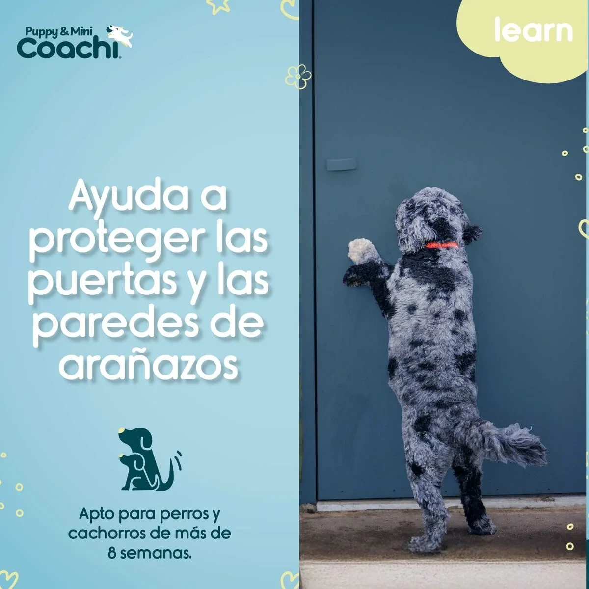 Arnés para Perro Coachi