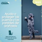 Arnés para Perro Coachi