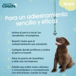 Arnés para Perro Coachi