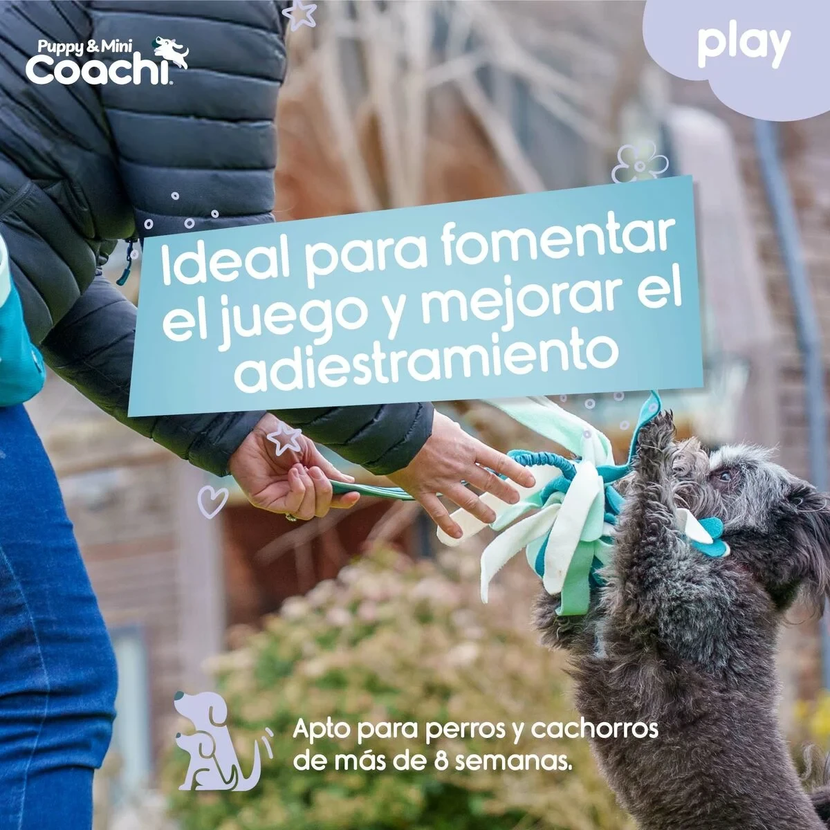 Arnés para Perro Coachi
