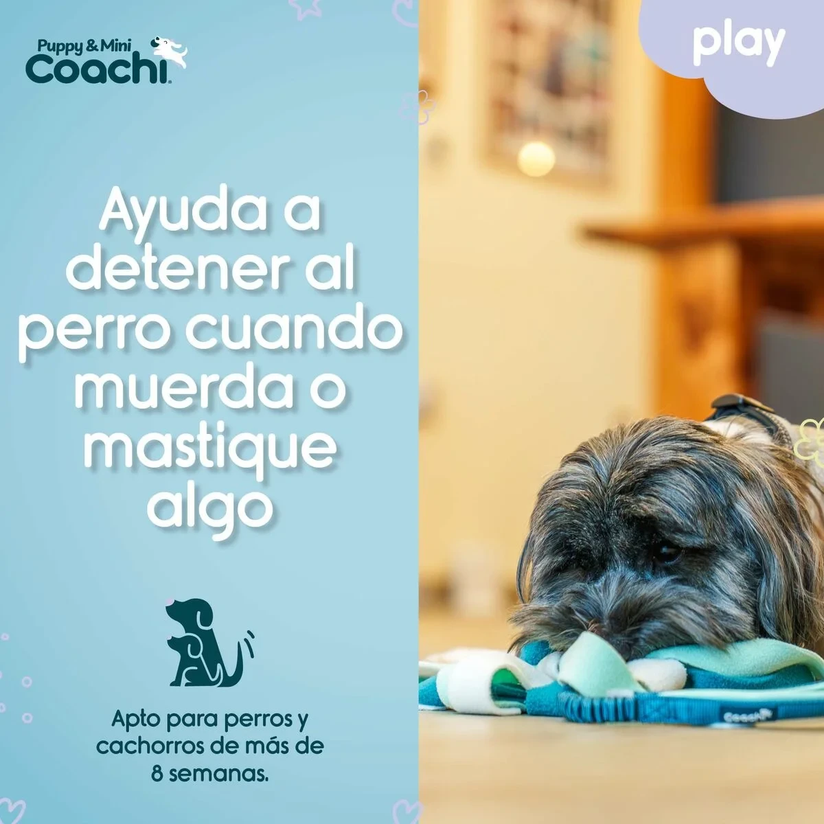 Arnés para Perro Coachi