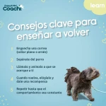 Arnés para Perro Coachi