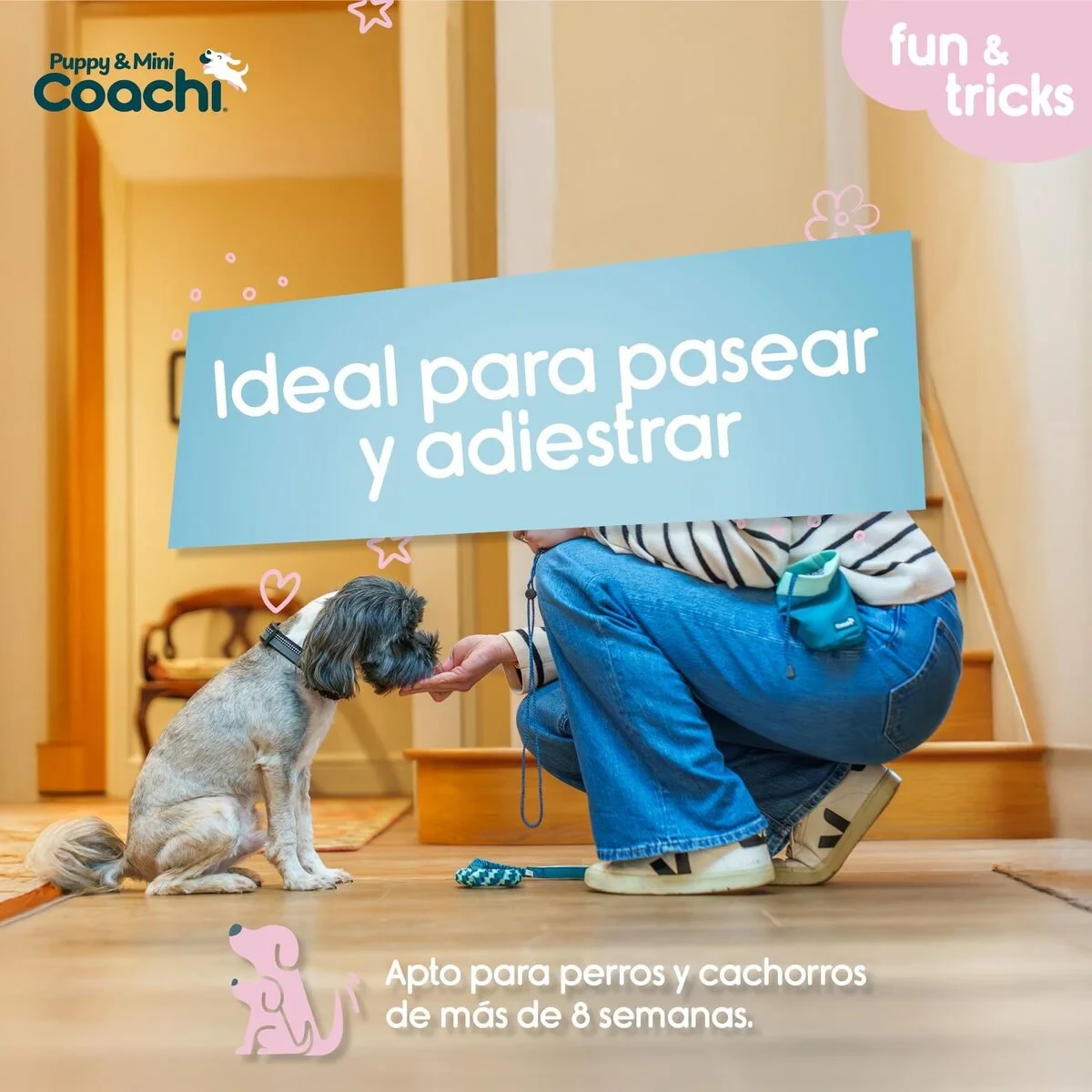 Arnés para Perro Coachi