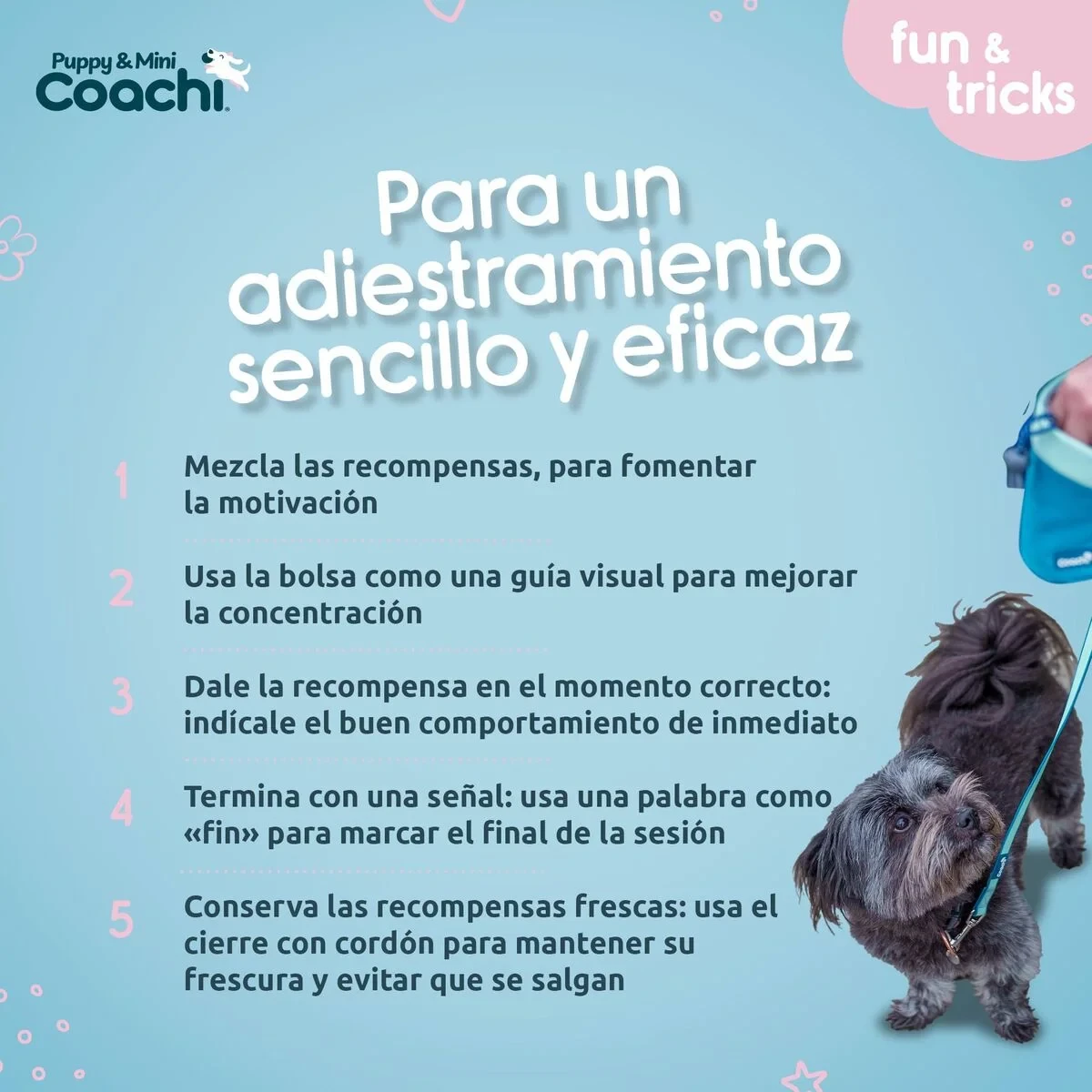 Arnés para Perro Coachi
