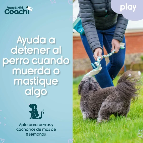 Arnés para Perro Coachi