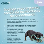 Arnés para Perro Coachi