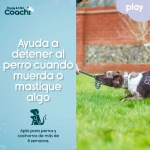 Arnés para Perro Coachi