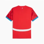 Camiseta de Manga Corta Hombre Puma Repúplica Checa 2024