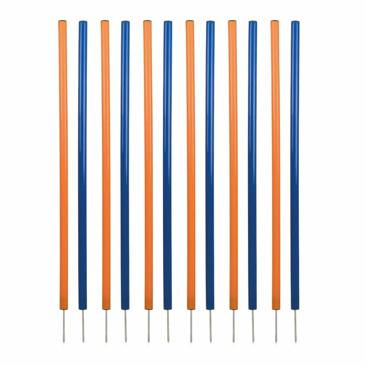 Juguete de adiestramiento Trixie