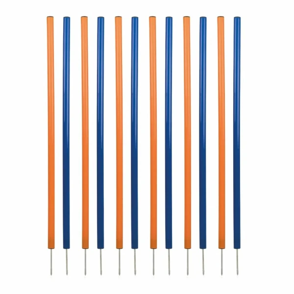 Juguete de adiestramiento Trixie