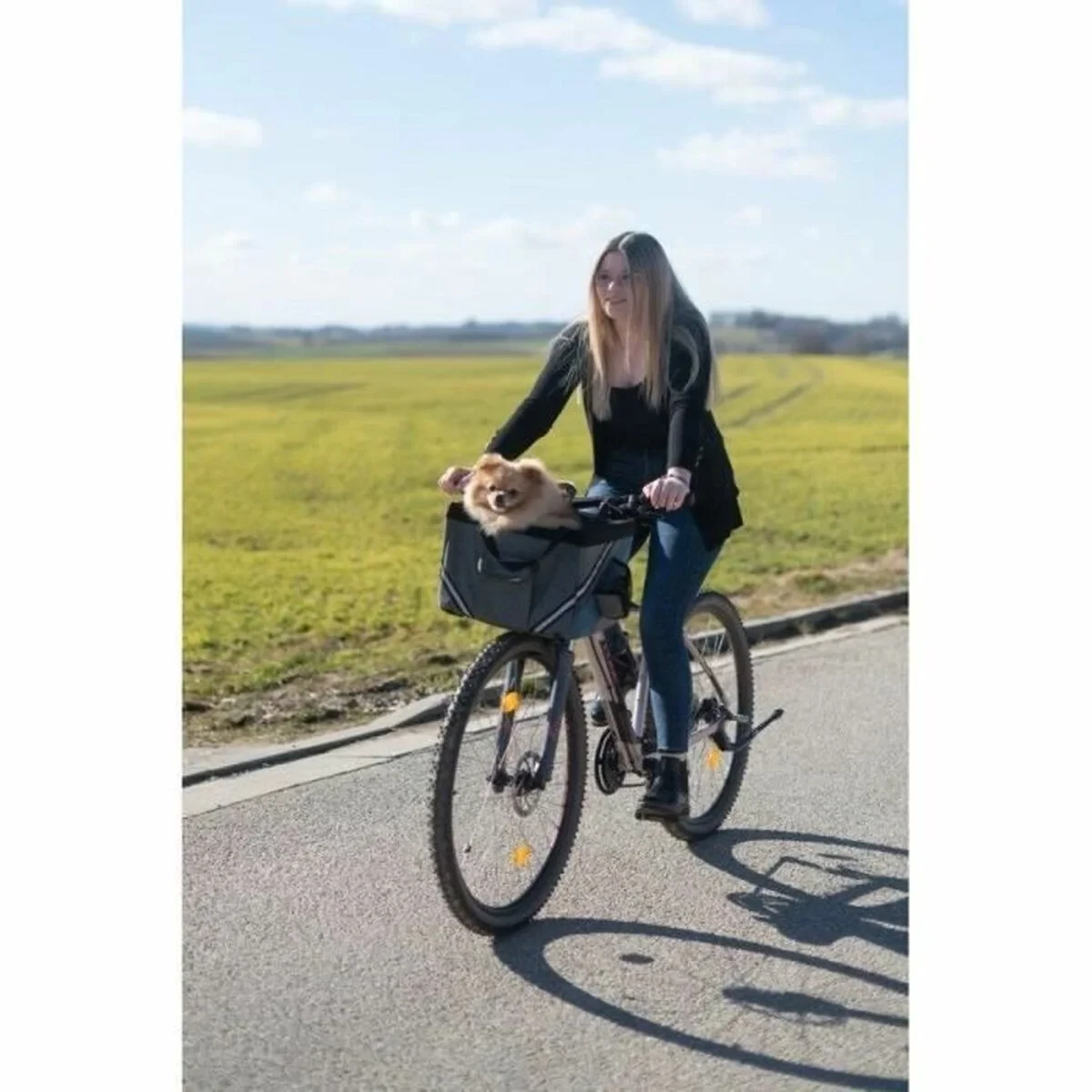 Bolsa para Bicicleta Kerbl Gris