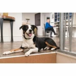 Collar antiladrido PetSafe Azul