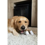 Mordedor de perro Nylabone Marrón Manteca de cacahuete L