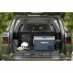 Nevera Portátil Igloo71 31 L 32 L Azul Plástico