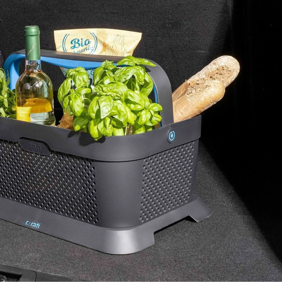 Cesta para el maletero del coche Armster V01762 Azul Plástico