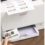 Rollo Papel Térmico Avery C32015-10E Blanco (10 Unidades)