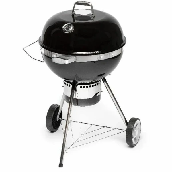 Barbacoa Portátil Fieldmann FZG 1017 Metal Acero