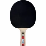 Raqueta de Ping Pong Schildkröt