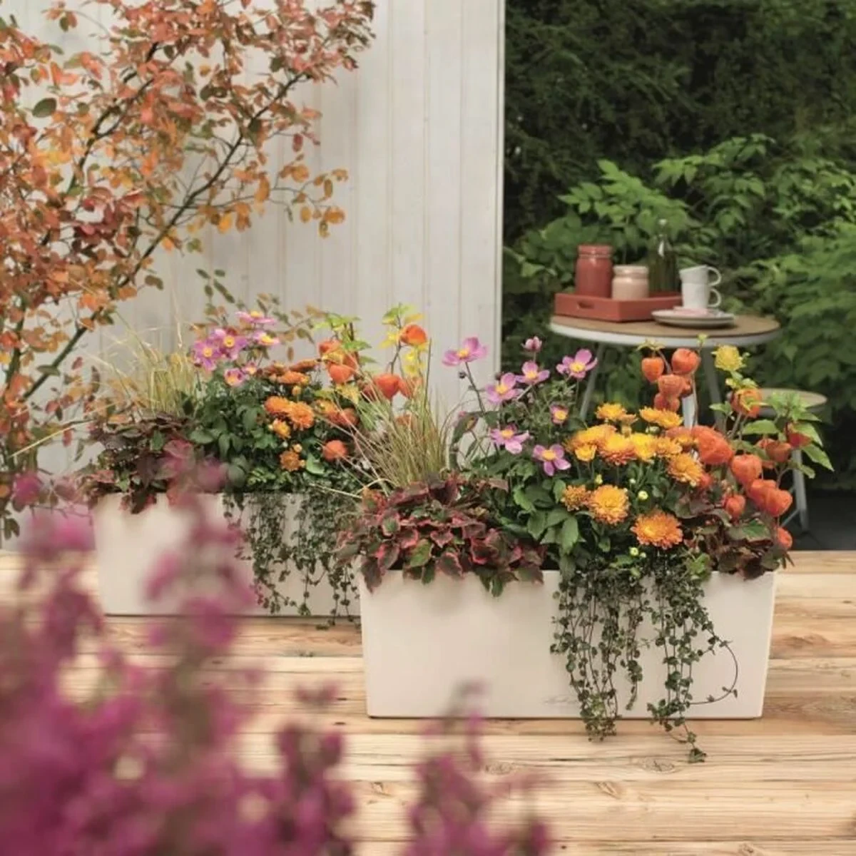 Maceta Lechuza Blanco Negro Polipropileno