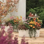 Maceta Lechuza Blanco Negro Polipropileno