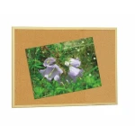 Tablero de Corcho Faibo Madera Marrón 60 x 90 cm (5 Unidades)