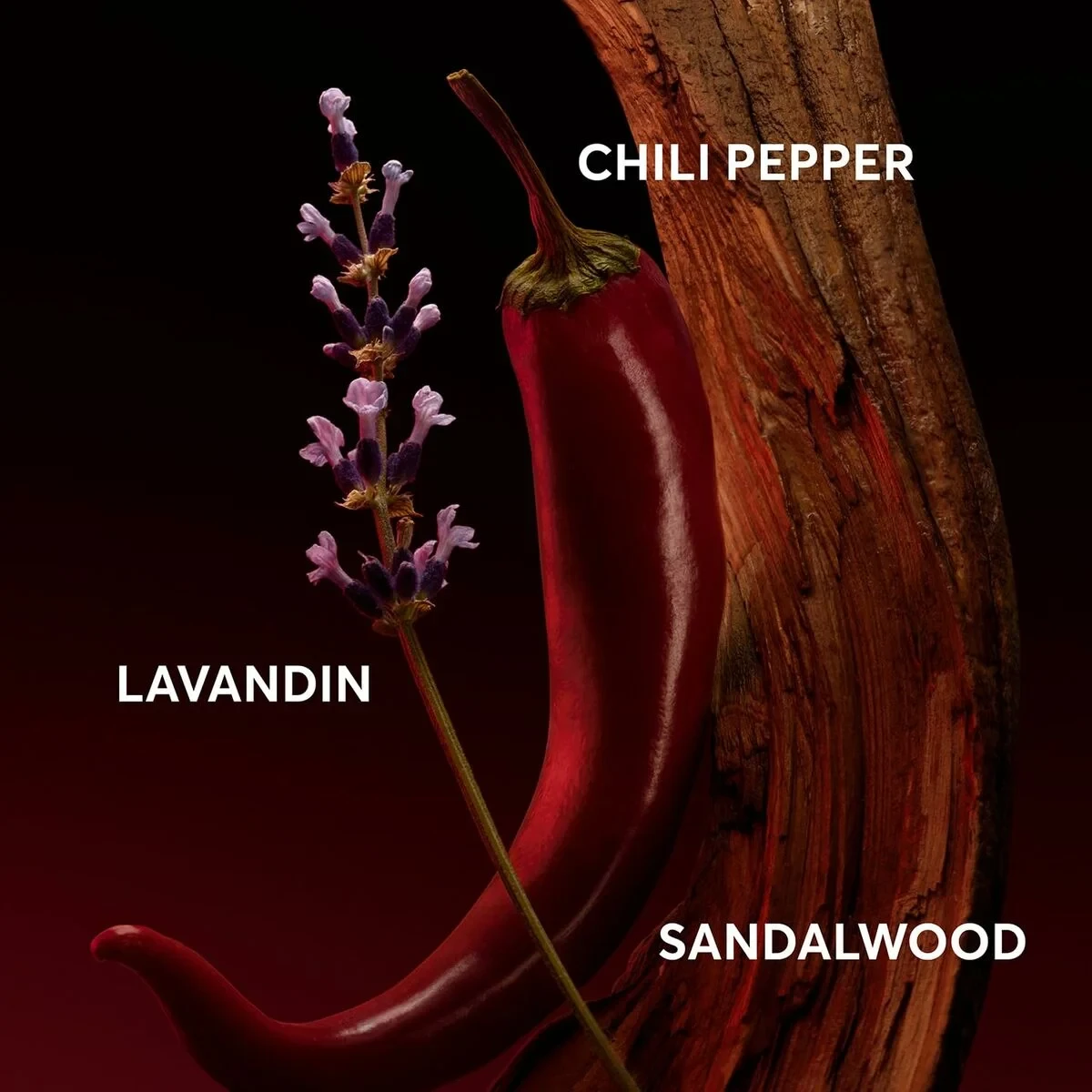 Perfume Hombre BOSS THE SCENT FOR HIM ELIXIR EDP 50 ml