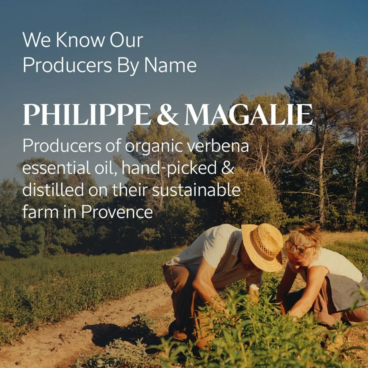 Crema de Manos L'Occitane En Provence VERBENA 30 ml