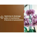 Tierra para macetas OR BRUN 6 L