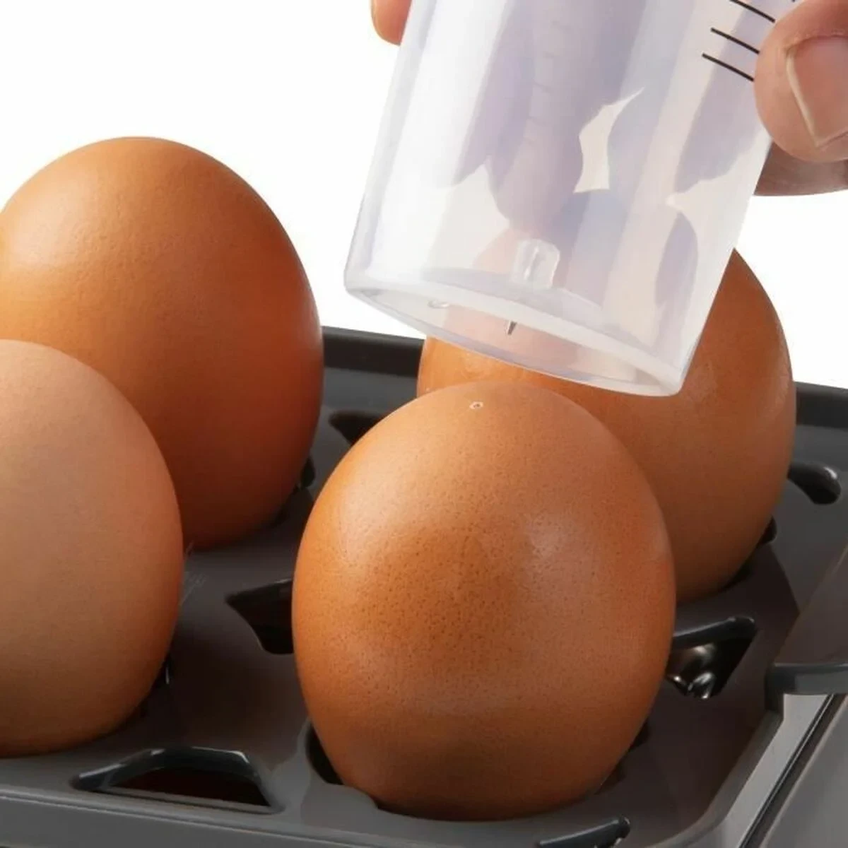 Hervidor de huevos DOMO