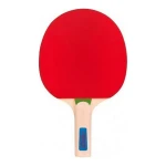 Raqueta de Ping Pong Atipick RQP40403