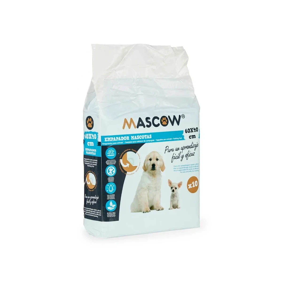 Empapador Mascow Azul Blanco Papel Polietileno 40 x 60 cm 19 x 28 x 6 cm 19 x 7 x 27,5 cm (10 Unidades)