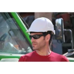 Gafas de seguridad Eagle FOLCO