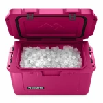 Nevera Portátil Dometic Patrol Rosa 36 L 70 x 43,2 x 41 cm