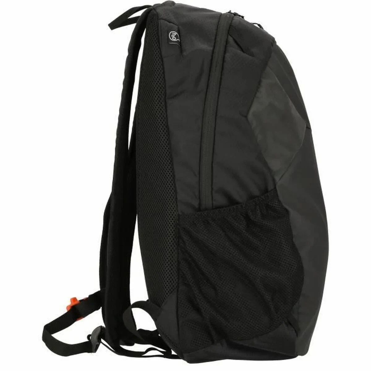 Mochila de Senderismo Whistler Froswick Negro 20 L 50 x 25 x 14,5 cm