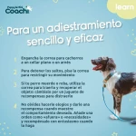 Arnés para Perro Coachi